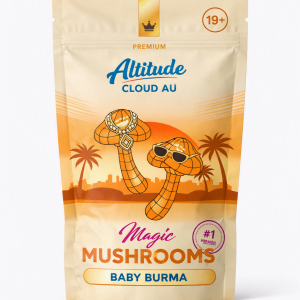 Baby Burma Magic Mushroom for sale in Australia.